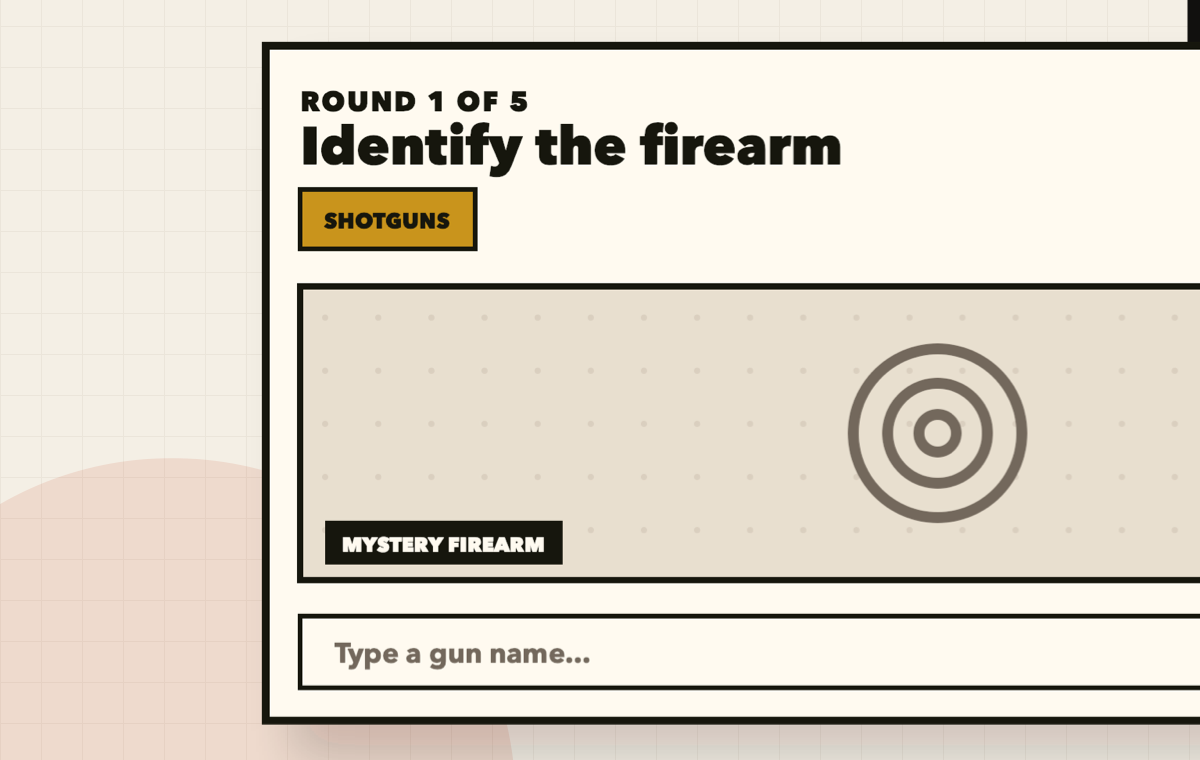 Gun Guessr game screen